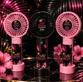 Portable fan